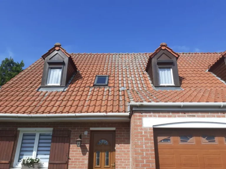 photo_avant_nettoyage_toiture_tuile