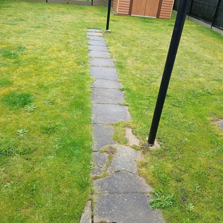avant_demontage_des_dalles_de_chemin_dans_un_jardin