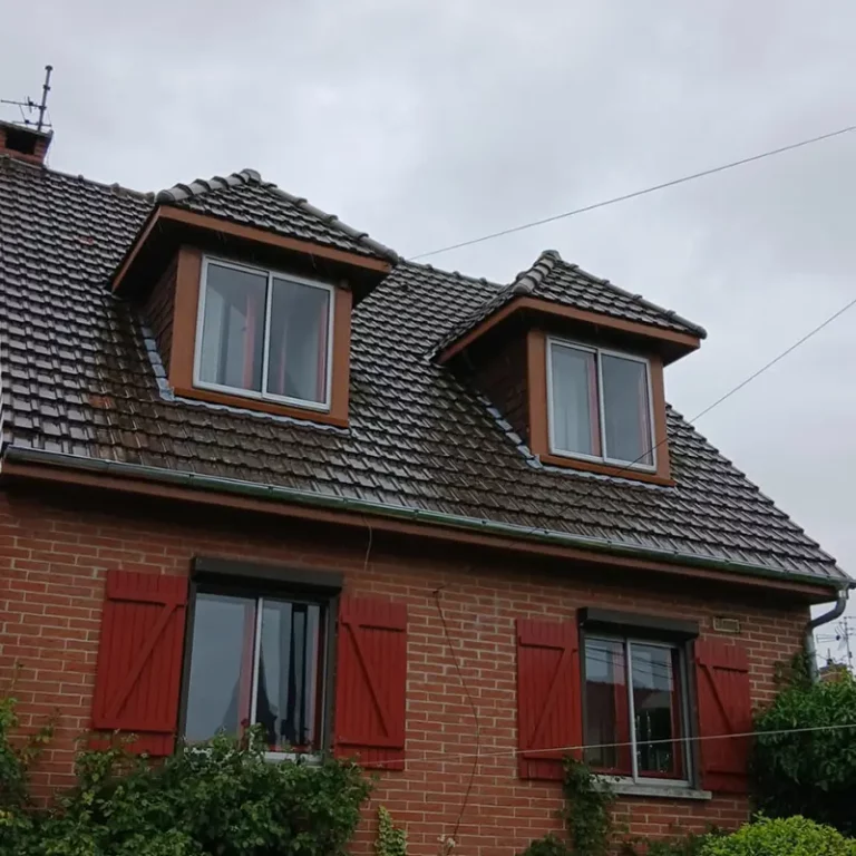 mise_en_peinture_des_fenetres_chien_assis