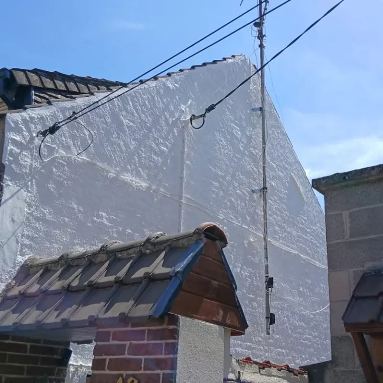 pignon_apres_nettoyage_et_mise_enpeinture